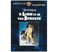 A Lion Is In The Streets