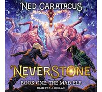 A LitRPG Adventure (The Mad Elf Series) [Import]
