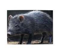 A Little Black Porc-épic Puzzle en bois de 500 pièces pour adultes - Puzzle stimulant pour taille du jeu 38,1 x 51,8 cm