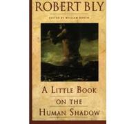 A Little Book on the Human Shadow Robert Bly, William Booth (Auteur)