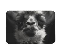 A Little Camel Diatom Mud Tapis de bain absorbant l'humidité et la saleté, paillasson avec dos en caoutchouc antidérapant, tapis de sol pour salle de bain, baignoire, douche, évier