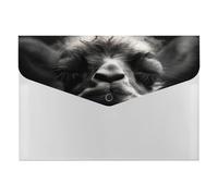 A Little Camel Organiseur de documents en accordéon à 6 poches avec étiquettes, dossiers de documents de voyage, enveloppes en plastique avec fermeture à pression, 33 x 23 cm