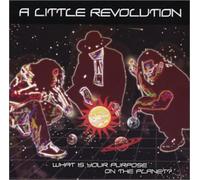 A Little Revolution - What is Your Purpose on The Planet