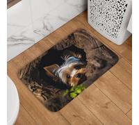 A Little Yorkshire Terrier Paillasson de bienvenue, antidérapant, absorbant, doux, lavable, tapis moderne pour décoration élégante de cuisine, chambre à coucher, salle de bain, 40,6 x 61 cm