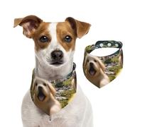 A Lively Écharpe pour petit chien - Bandanas pour chien - Pour le printemps et l'été - En coton doux - Accessoires réglables pour petites, moyennes et grandes filles et garçons - Taille M
