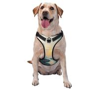 A Lively Little River Harnais pour chien de petite, moyenne et grande taille - Durable, ne tire pas avec sangles réfléchissantes et boucles à dégagement rapide XL