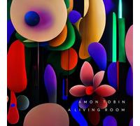 A Living Room Music from Meow Wolf's Omega Mart//Etching Artwork on The B Side