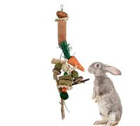 à mâcher pour lapin Accessoires pour usure dentaire