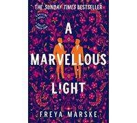 A Marvellous Light: A dazzling, queer romantic fantasy