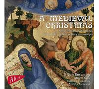 A Médiéval Christmas