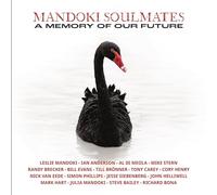 A Memory of Our Future – Vinyle 33 tours – Inside Out Music