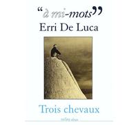 À Mi-Mots"" : Erri De Luca
