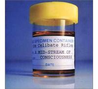 A Mid-Stream of Consciousness [Import]