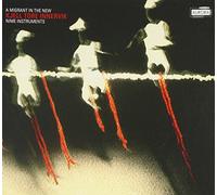 A migrant in the new. Kjell Tore Innervik, NIME instruments.