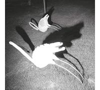 A Mimesis of Nothingness (8 Page Booklet)