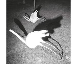 A Mimesis of Nothingness (8 Page Booklet)