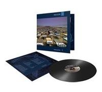 A Momentary Lapse of Reason