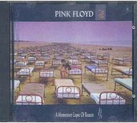 A Momentary Lapse Of Reason