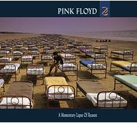 Pink Floyd - A Momentary Lapse Of Reason [Compact Discs]
