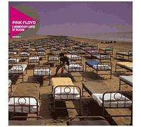 A Momentary Lapse Of Reason