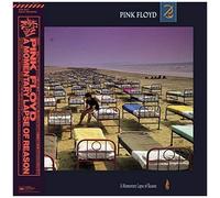 Pink Floyd - A Momentary Lapse.. -Ltd-