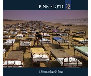 A Momentary Lapse of Reason