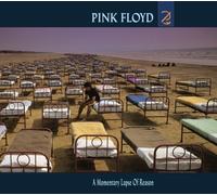 A Momentary Lapse of Reason by Pink Floyd [Audio CD] NEUF