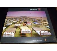 A momentary Lapse of Reason [Import]