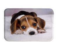 A.Monamour Mignon Chiot Beagle Couché sur Le Sol Thème Amoureux des Animaux Flanelle Absorbante Doux Tapis De Bain Antidérapants Tapis De Sol Tapis De Passage Runner Tapis De Salle De Bain 40x60cm