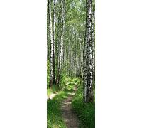 A.Monamour Sticker Porte Autocollant Poster De Porte 3D Bouleau Forêt Chemin Étroit Nature Paysages Vinyle Affiche De Porte Sticker Mural Papier Peint Art Décor 90 x 200 cm
