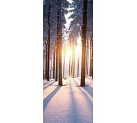 A.Monamour Sticker Porte Autocollant Poster De Porte 3D Coucher De Soleil D'Hiver Dans La Forêt Avec Des Rayons De Soleil À Travers Les Arbres Vinyle Affiche De Porte Sticker Mural Décor 90 x 200 cm