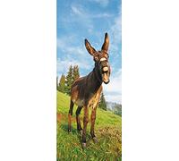 A.Monamour Sticker Porte Autocollant Poster De Porte 3D Un Âne Drôle Au Thème des Animaux Au Coucher du Soleil Vinyle Affiche De Porte Sticker Mural Papier Peint Art Décor 95 x 215 cm