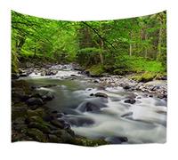 A.Monamour Tapisseries Vert Arbres Forêts Jungles Chutes D'Eau Cours D'Eau Qui Coule Dans La Rivière Roches Pierres Mousse Nature Paysage Tissu Mur Tapisserie Tentures Murales Couvre-Lits 153X102Cm