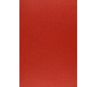 A Muslim Philosopher On The Soul And Its Fate: Al-Amiri's (American Oriental Series)