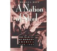 A Nation of Steel, Johns Hopkins Studies in the History of Technology Thomas J. Misa (Auteur)
