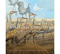 A Natural Curiosity