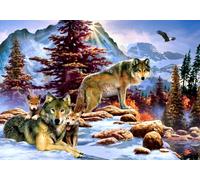 A New Dawn - Puzzle 1000 Pièces