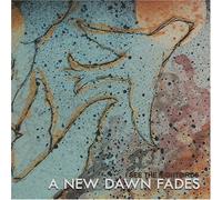 A New Day Fades - I See the Night Birds