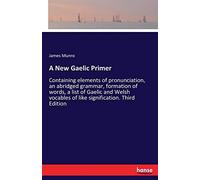 A New Gaelic Primer