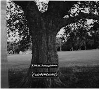 Archy Marshall A New Place 2 Drown (Instrumentals) (Vinyl) 12" Album