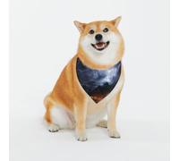 A Night of Lightning and Thunder Écharpe triangulaire pour chiens de petite, moyenne et grande taille, noir, bandana pour chien