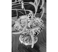 A oração e o espírito: Filosofia grega em diálogo com o mundo: Primeira edição em duas línguas - com uma perspectiva de pesquisa internacional