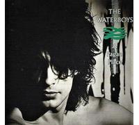 A Pagan Place by The Waterboys [CD] NEUF