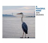 A Peaceful Mind [Import allemand]