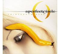 A Perfect Circle - Thirteenth Step