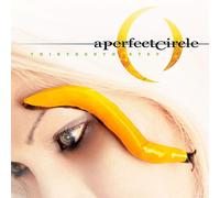 A Perfect Circle – Thirteenth Step