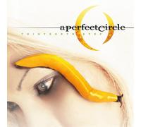 A Perfect Circle – Thirteenth Step – Vinyle 12" – Pochette gatefold – Music on Vinyl