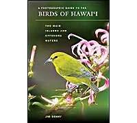 A Photographic Guide To The Birds Of Hawai'i | Occasion