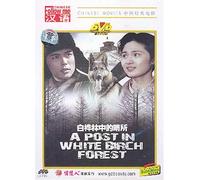 A Post in White Birch Forest