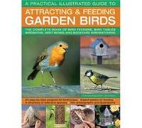 A Practical Illustrated Guide to Attracting Feeding Garden Birds by Dr Jen Green Dr Jen Green, (Auteur)